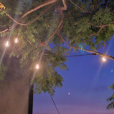 Il Tramonto Apartments 2 كانالي المظهر الخارجي الصورة