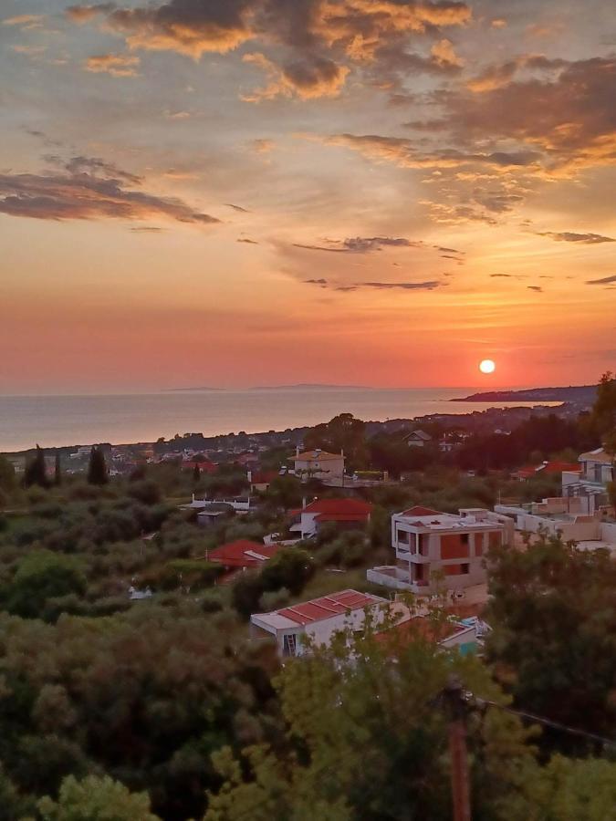 Il Tramonto Apartments 2 كانالي المظهر الخارجي الصورة